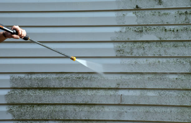 Best Driveway Pressure Washing  in Manila, AR
